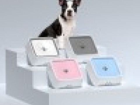Water Bowl O