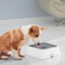 Bol d'eau pour animaux de compagnie O