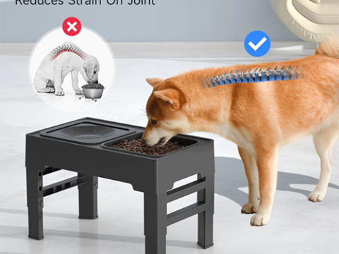 Bols surélevées pour chiens