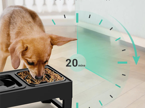 Bols surélevées pour chiens
