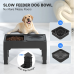 Bols surélevés pour chiens O