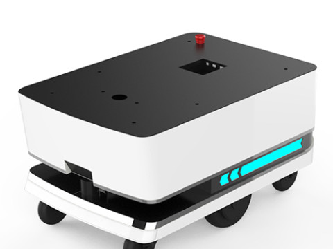 Bigdog Service Robot
