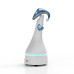 Robot de service ELF