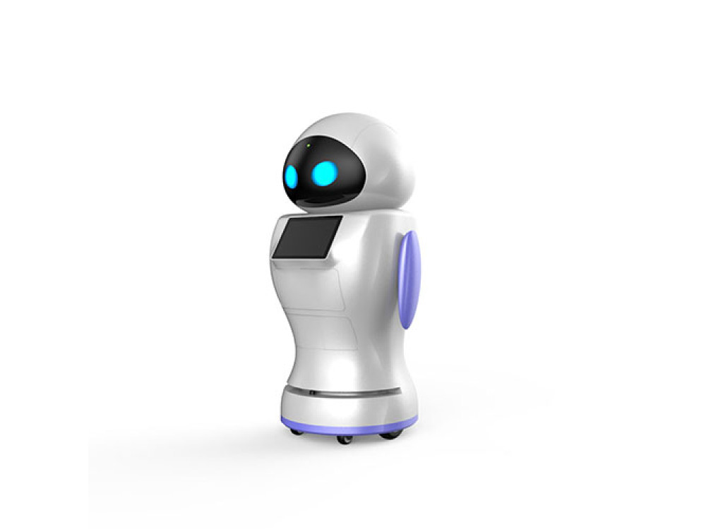 Robot de service KaKa