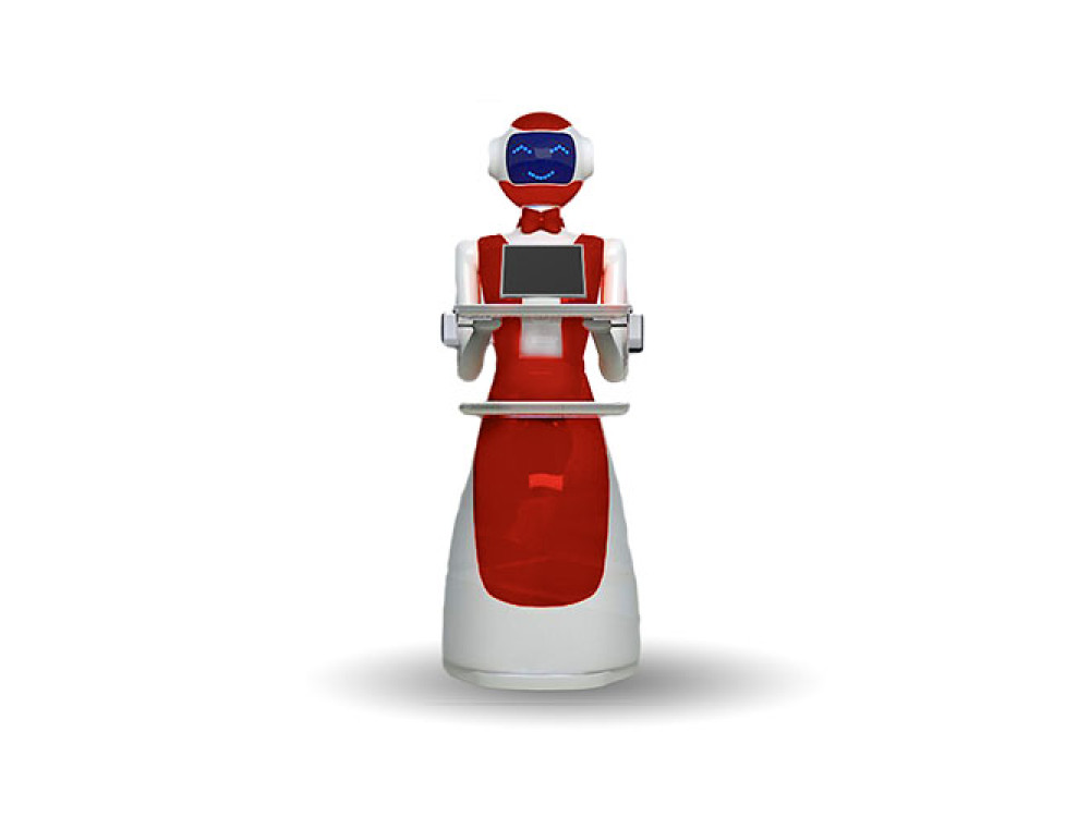 Robot de service LeLe
