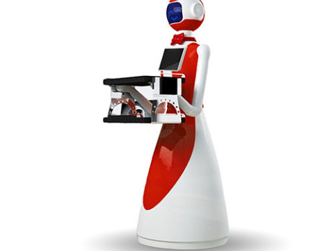 LeLe Service Robot