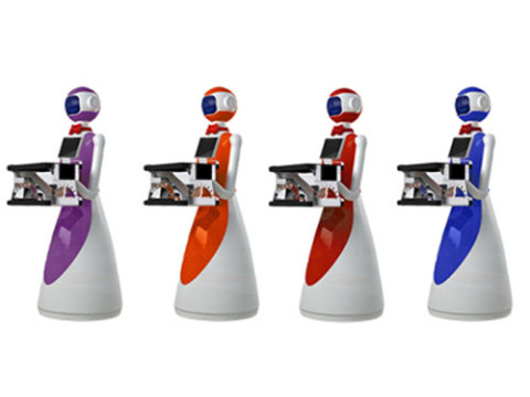 LeLe Service Robot
