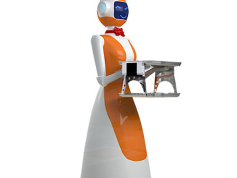 LeLe Service Robot