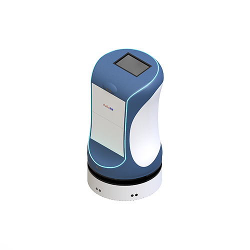 Robot de service TeTe