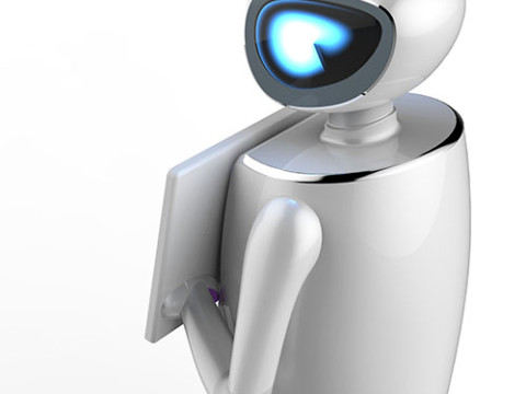YinYin Service Robot